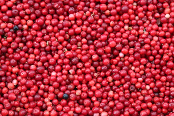 Cranberries