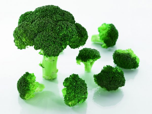 Broccoli