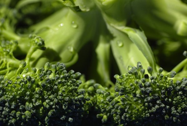 Broccoli - Image 3