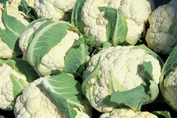 Cauliflower - Image 3