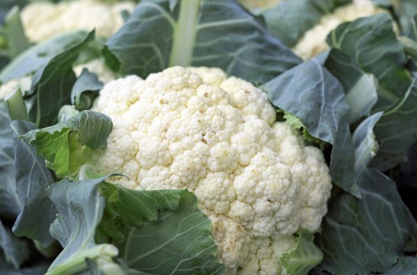 Cauliflower - Image 4