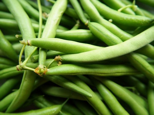 Green Beans - Image 2