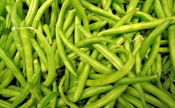 Green Beans - Image 3