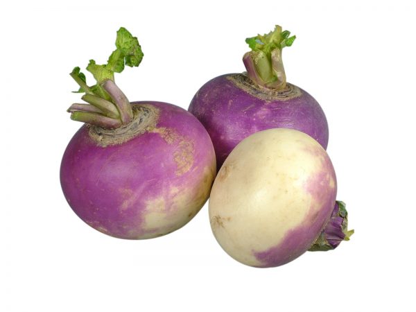 Turnips - Image 2