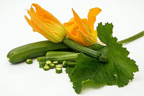 Zucchini - Image 2